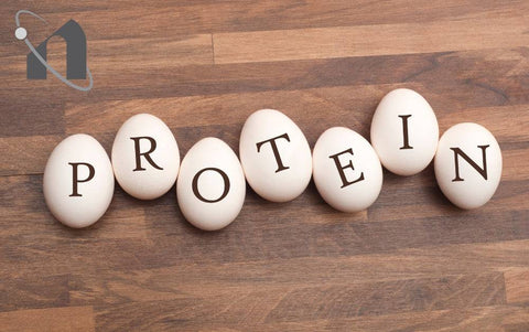 The Ultimate Guide to Protein: Types Benefits and Uses!