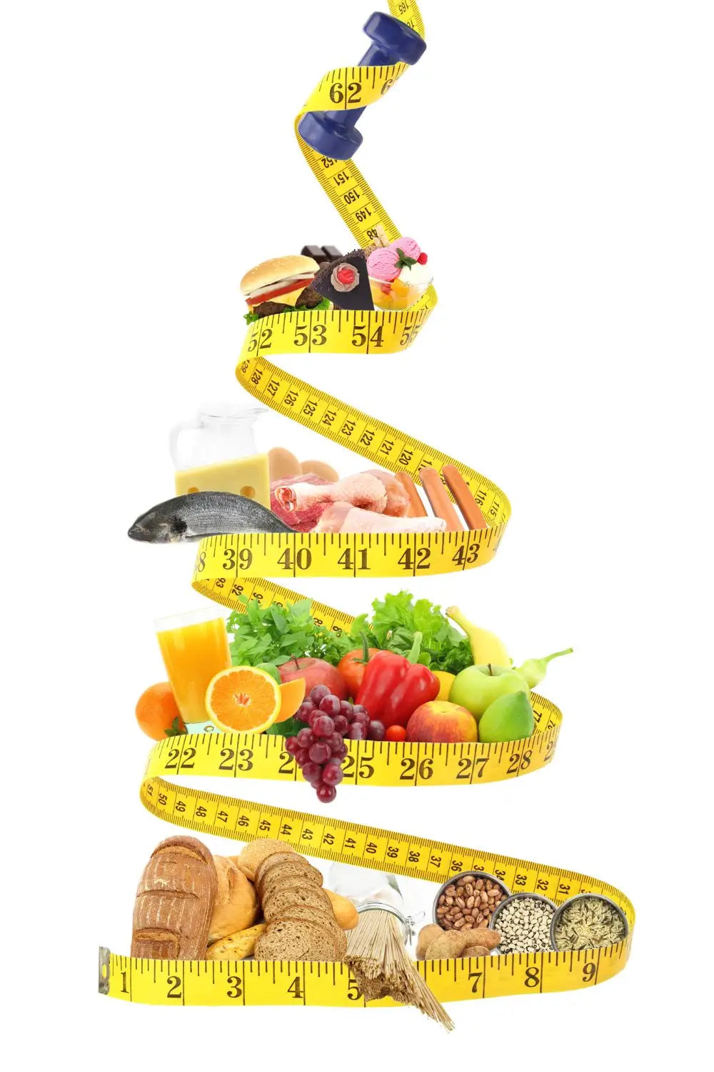 Macronutrients Chart nutrascia calorie calculator