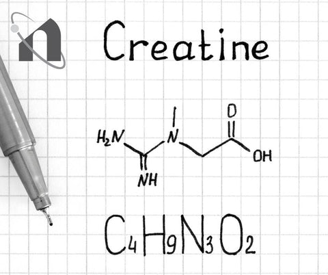 The Science Behind Creatine Explained.